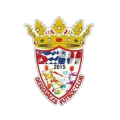 DESIGUALES FC NG logo