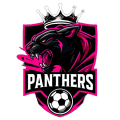 Panthers  eSports logo