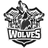 Billings WolveS (Sciolti)