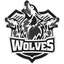 Billings WolveS (Sciolti)