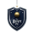 THE BOYZ FC logo