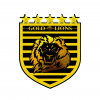 Gold  Lions FC logo