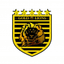 Gold  Lions FC