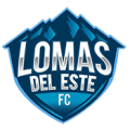 FVCP LOMAS DEL ESTE FC logo