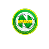 F.C. New Team [Inattivo] logo