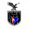 Spvgg Hayvan 09 logo