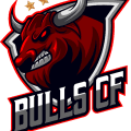 VPN BULLS CF logo