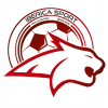 Ibérica Sport logo