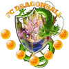 FC DRAGONBALL logo