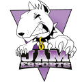 JAM eSports logo