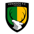 VPN Venados logo