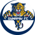 DynamiK Fantasy logo