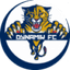 DynamiK Fantasy