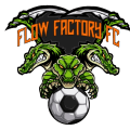 ES FLOW FACTORY  logo