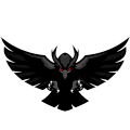 BLACK HAWK GAMING logo