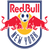 VPN New York Red Bulls logo