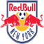VPN New York Red Bulls