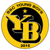 BSC YOUNG BOYS logo