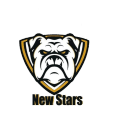 New Stars XI logo
