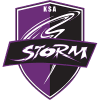 VPN Storm FC logo