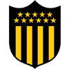 VPN Peñarol logo
