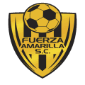 VPN Fuerza Amarilla logo