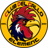CdG Element logo