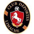 VPN LIMACHE logo
