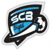 Free Team SCB logo