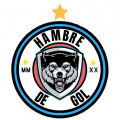 VPN HAMBRE DE GOL logo