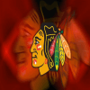 the new dynasty logo