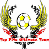 Top Fifa UT logo