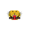 Los Magnificos logo