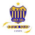 Docksud Esports logo