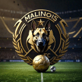 MALINOIS FC FVL logo