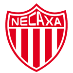 VPN Necaxa logo