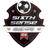 SIXTH SENSE logo