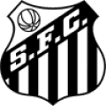 VPN  Santos logo