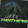 PanthersNR1 logo
