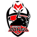 VPN Dep Dongu logo