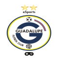  eGuadalupe logo