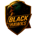 Black Hawks logo