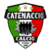 Catenaccio Calcio logo