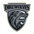 Direwolves FC logo