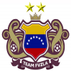(Inactivo) FVzla Team logo