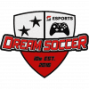 Dream Soccer logo