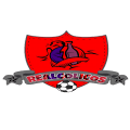 Realcolicos  CD logo