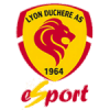 Lyon Duchére AS WE logo