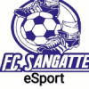 Fc sangatte eSport WE logo
