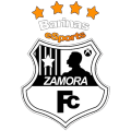 Zamora eSports PA logo